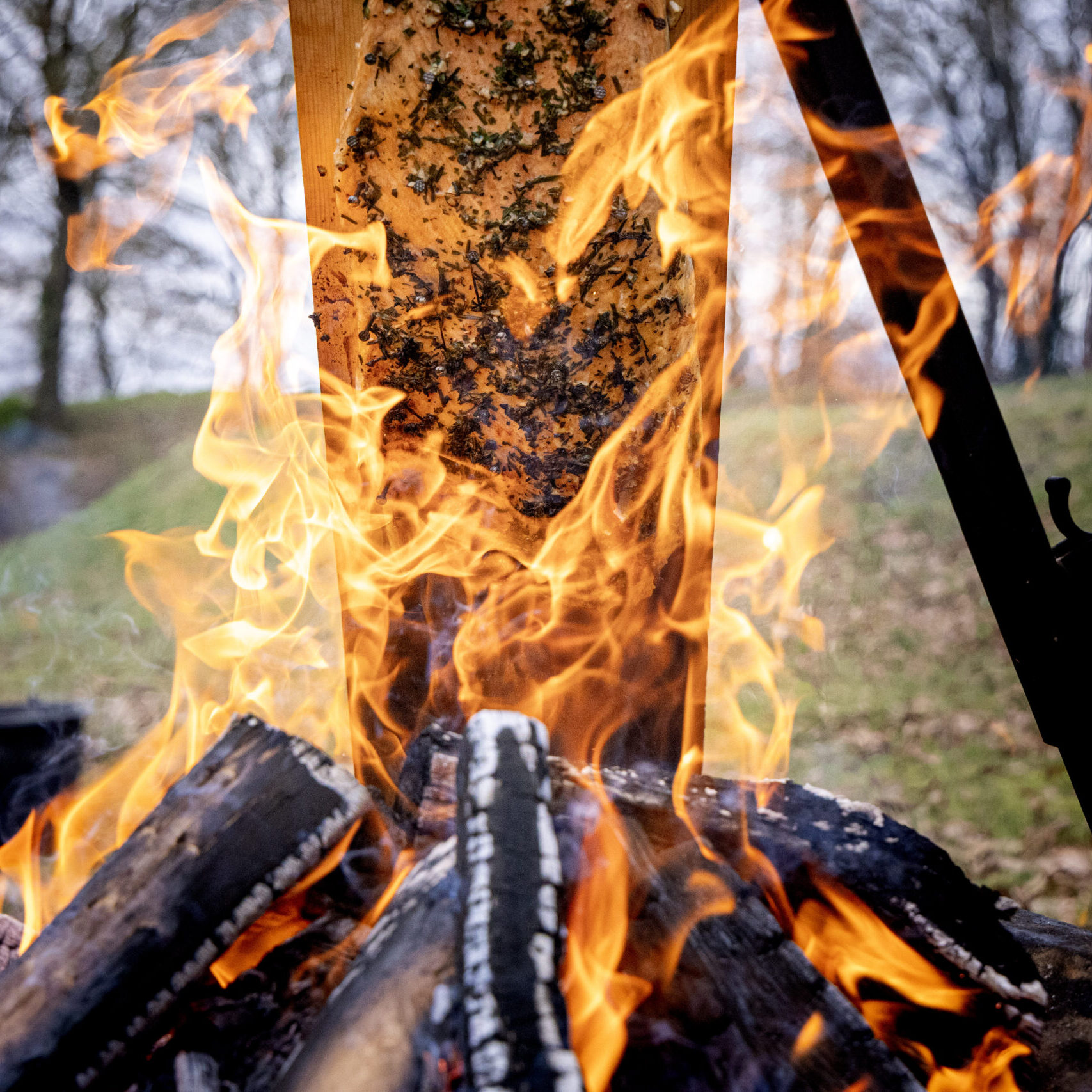 Campfire-Chef-Zalm